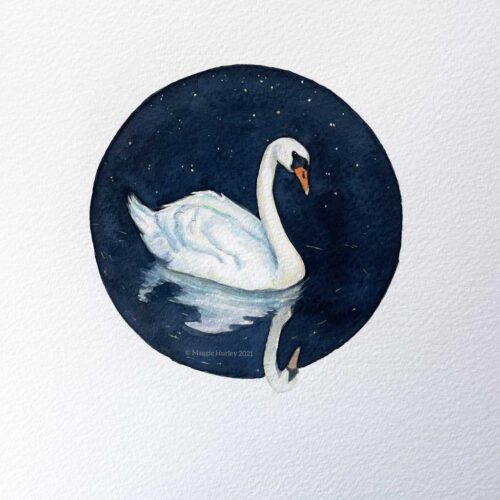 swan paintng