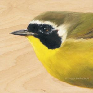Common Yellowthroat Bird Art