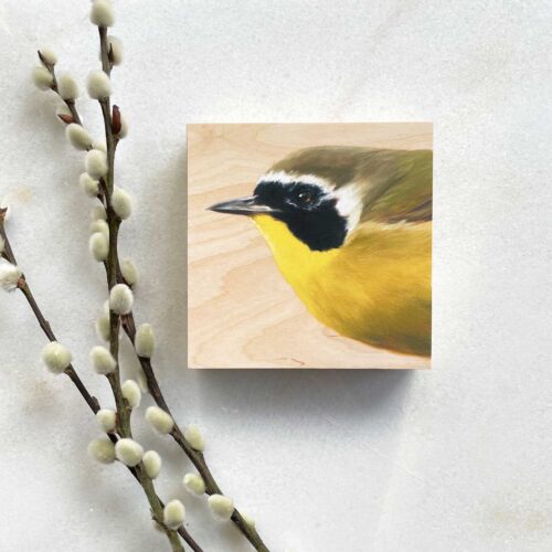 Common Yellowthroat Bird portrait on wood by Maggie Hurley