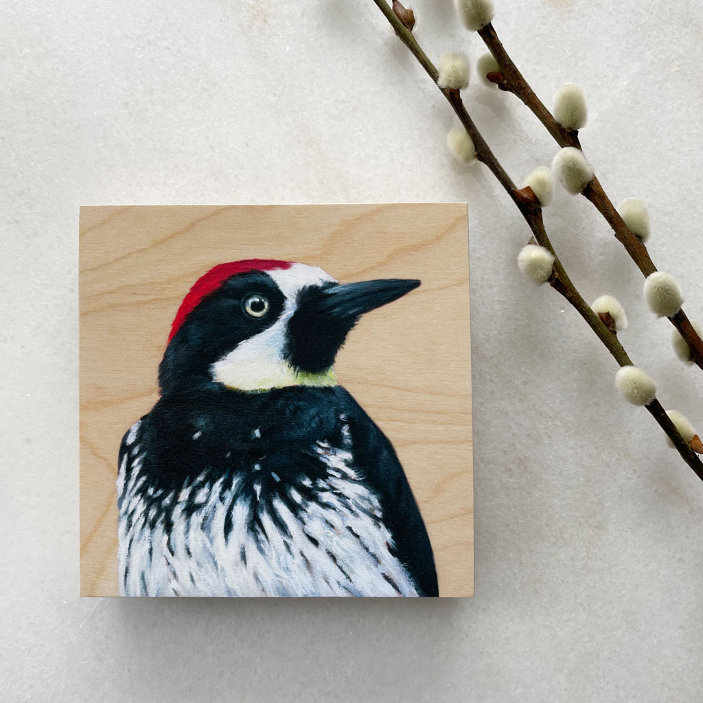 Acorn Woodpecker - Bird Art Print on Wood - Image 2