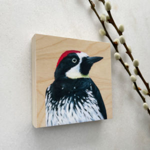 acorn woodpecker bird art painting