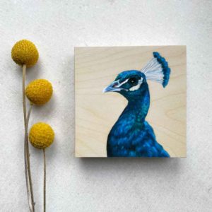Indian Peacock bird painting