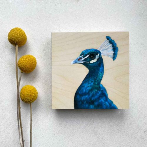Indian Peacock bird painting