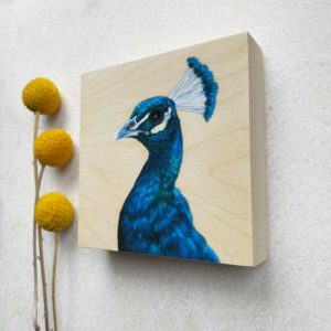 Indian Peacock bird painting