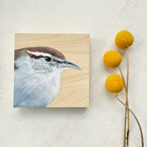 Bewick's wren bird art