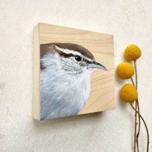 Bewick's wren bird art