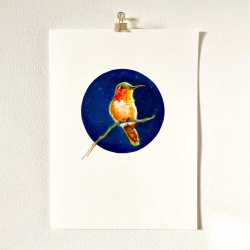 Rufous hummingbird painting on paper