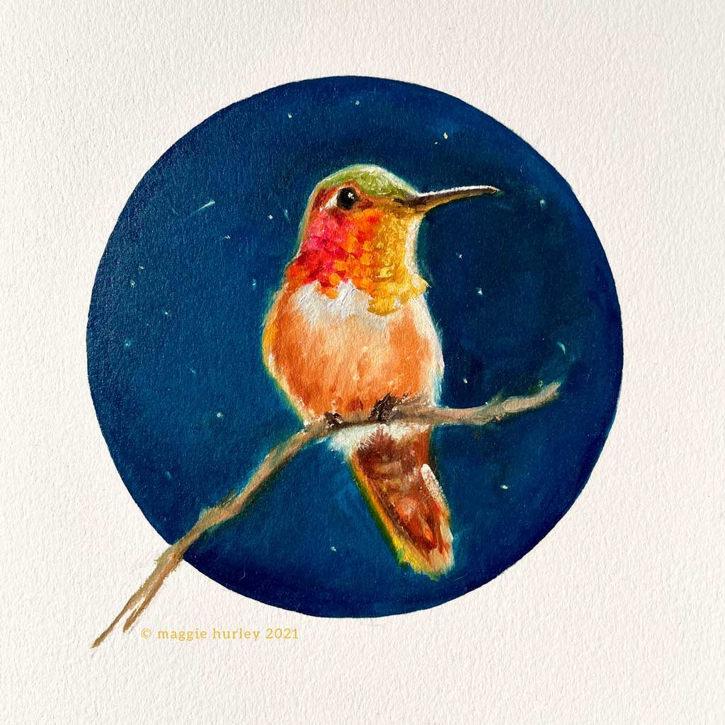 Rufous hummingbird painting on paper