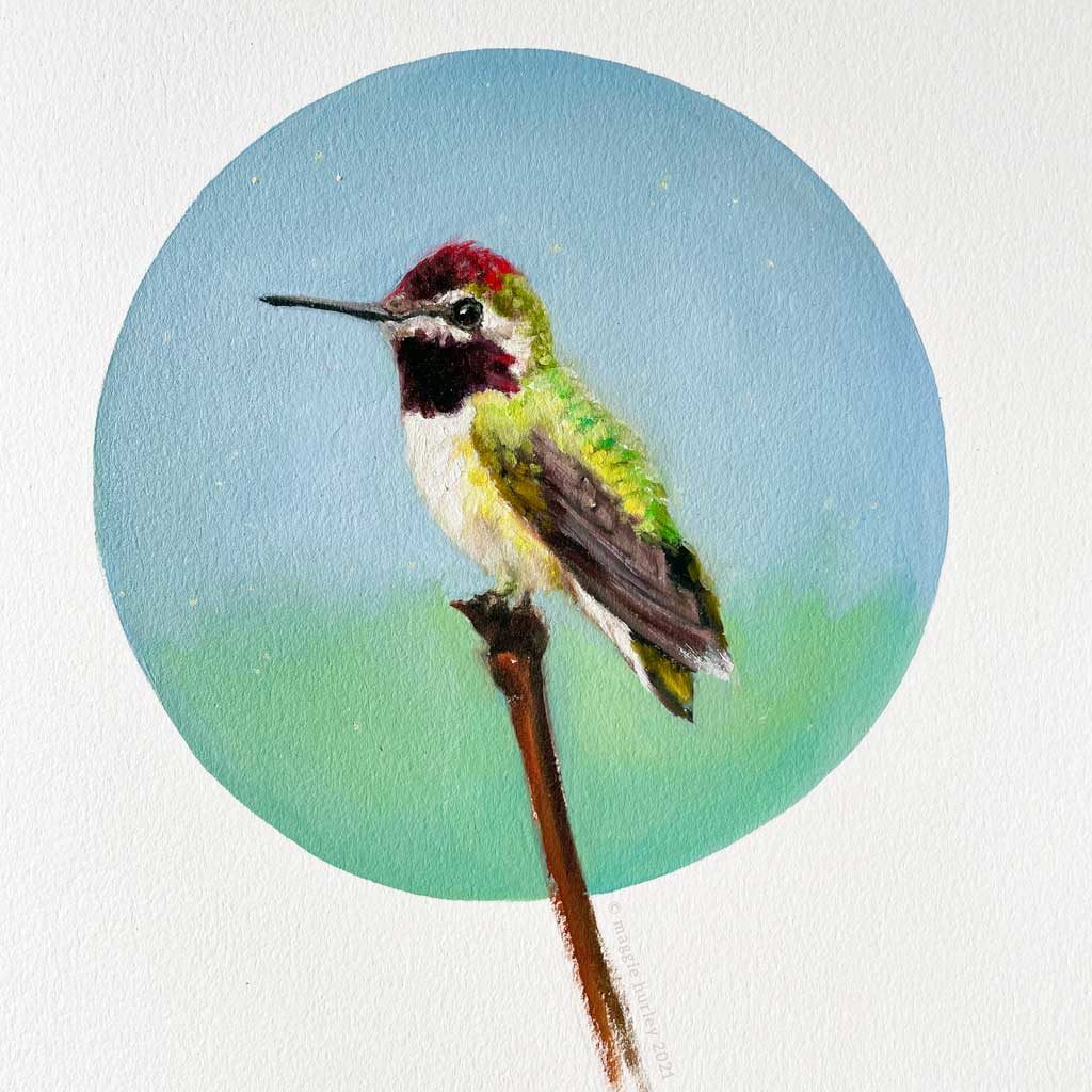Anna's hummingbird painting on paper