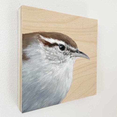 bewick's wren bird painting on wood