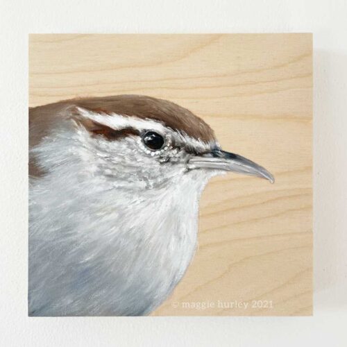 bewick's wren bird painting on wood