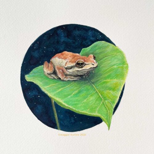 Treefrog | 9" x 12" | Gouache Painting