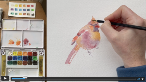 Cardinal video image 1