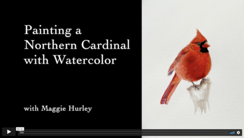 Watercolor Painting Class | Northern Cardinal