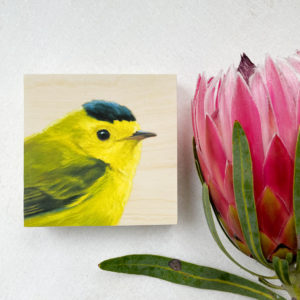 Painted portrait of a wilson's warbler on a wood panel by bird artist Maggie Hurley