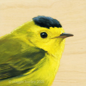 Painted portrait of a wilson's warbler on a wood panel by bird artist Maggie Hurley