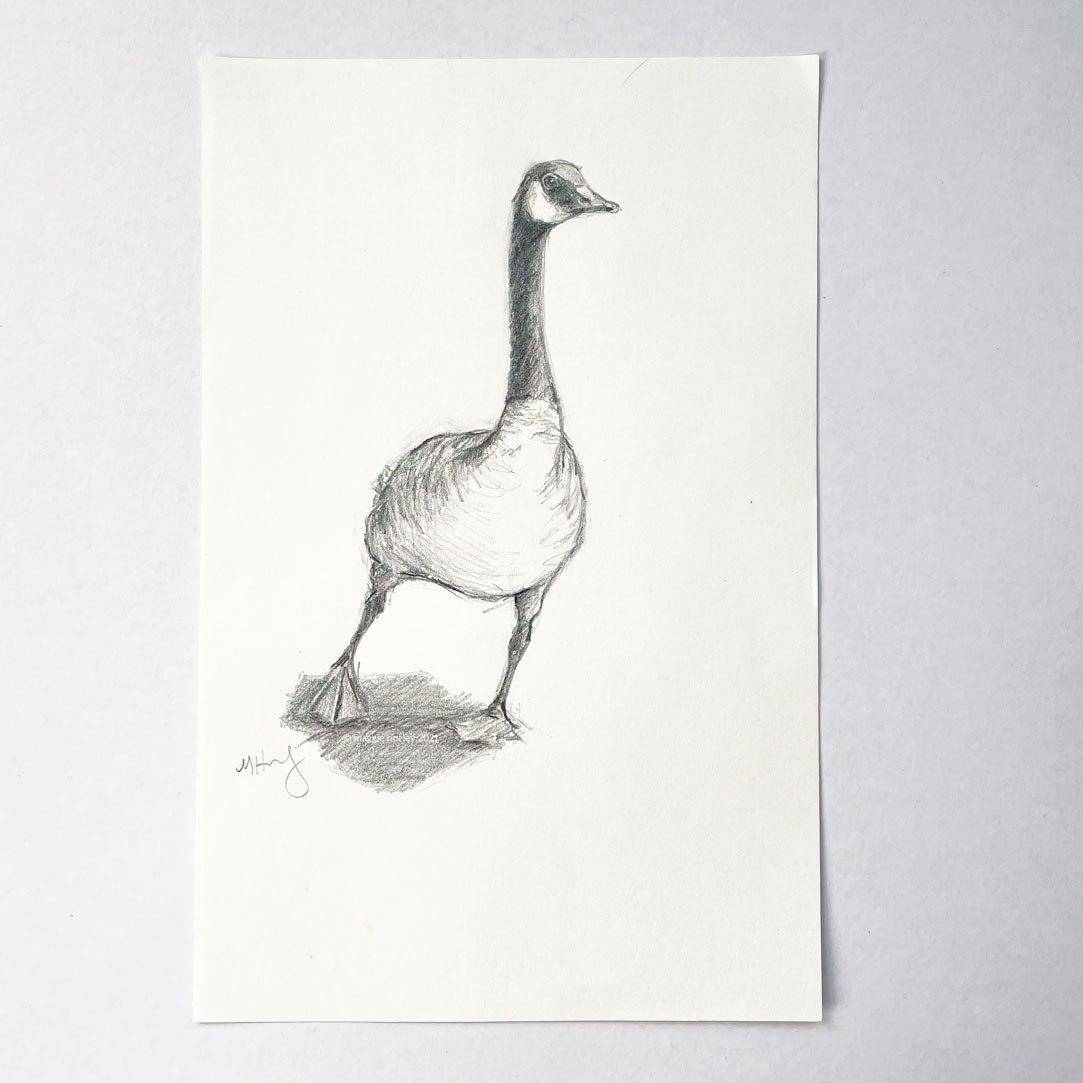 Canada Good graphite drawing by maggie hurley