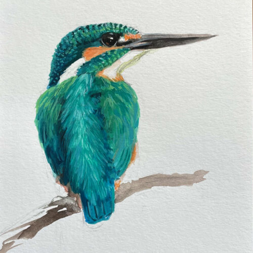 Common Kingfisher bird painting by maggie hurley