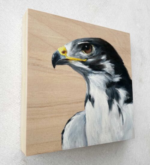 side view of painting of an augur buzzard in oil painting on a wood panel