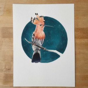 hoopoe watercolor gouache bird painting