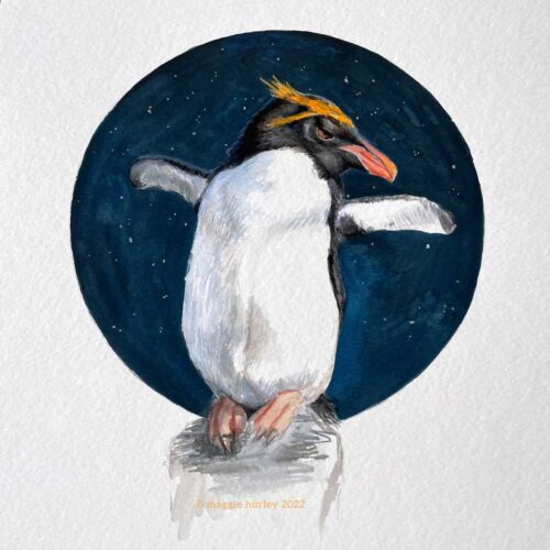 Macaroni penguin watercolor gouache painting