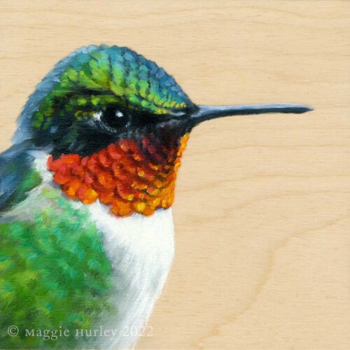 Ruby thorated hummingbird bird art
