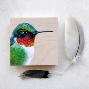 Ruby throated hummingbird bird art print