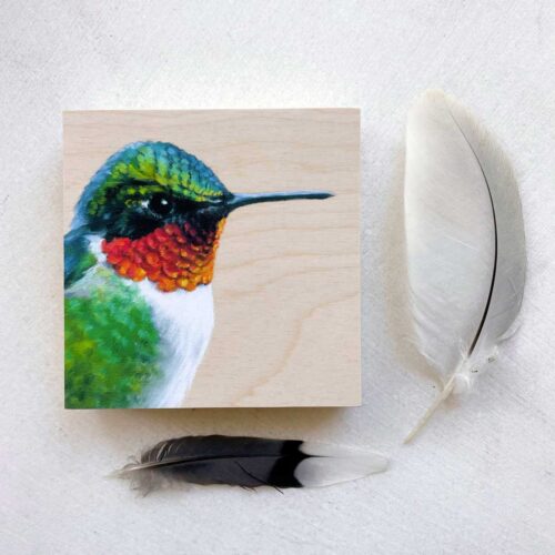 Ruby throated hummingbird bird art print