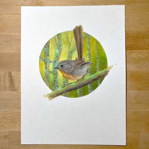 wrentit bird painting by maggie hurley