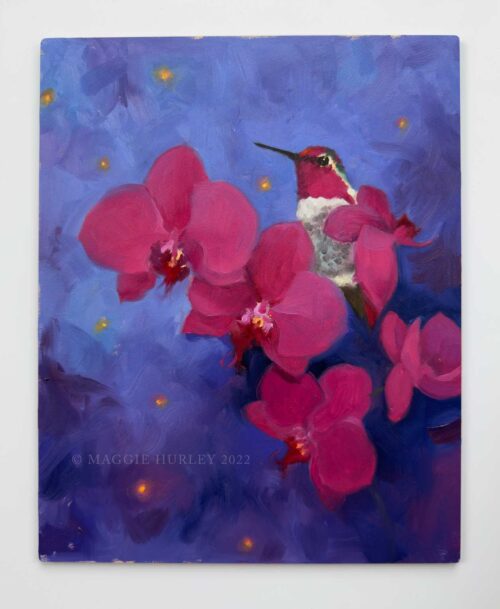anna's hummingbird with orchids and fireflies