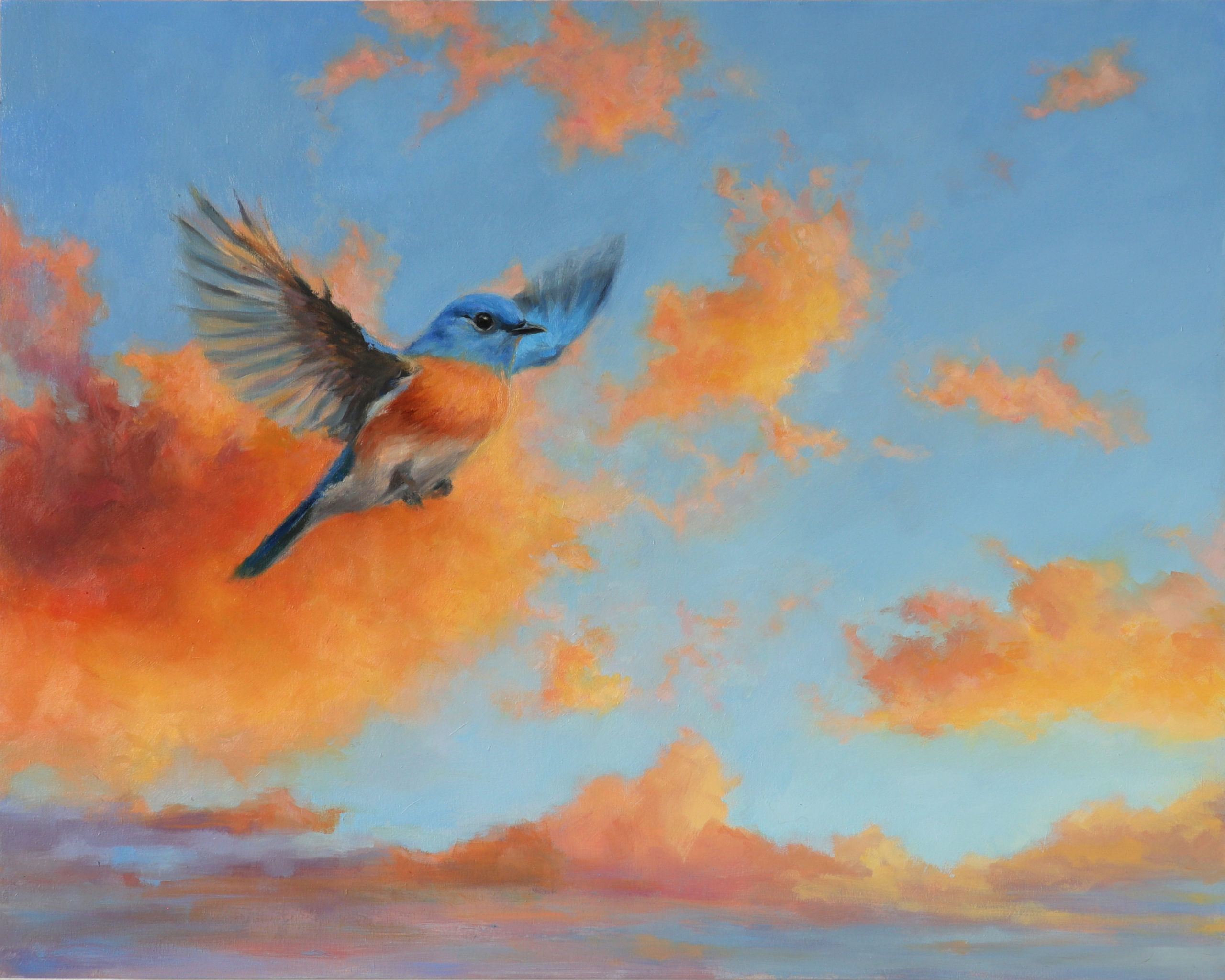 Bluebird at sunset bird art