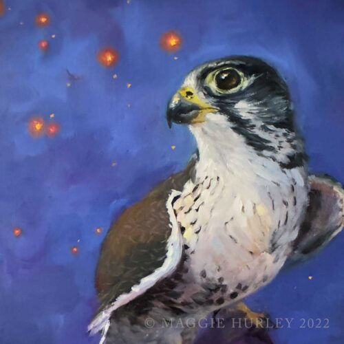 gyrxprarie falcon on amethyst bird painting