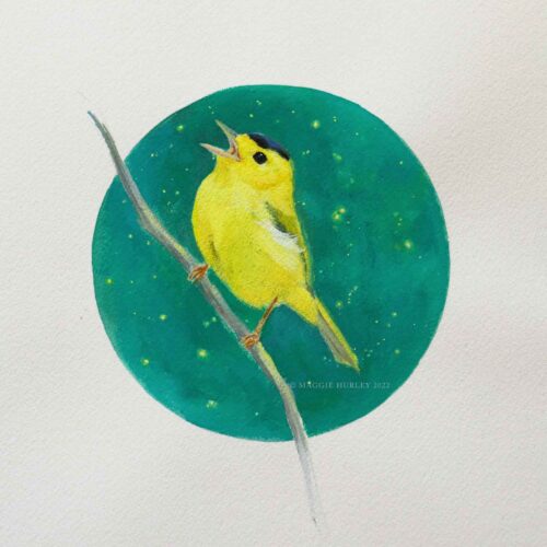 Wilson's Warbler in an Emerald Sky | 9" x 12" | Gouache Painting