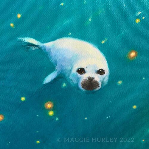 fur seal pup closeup