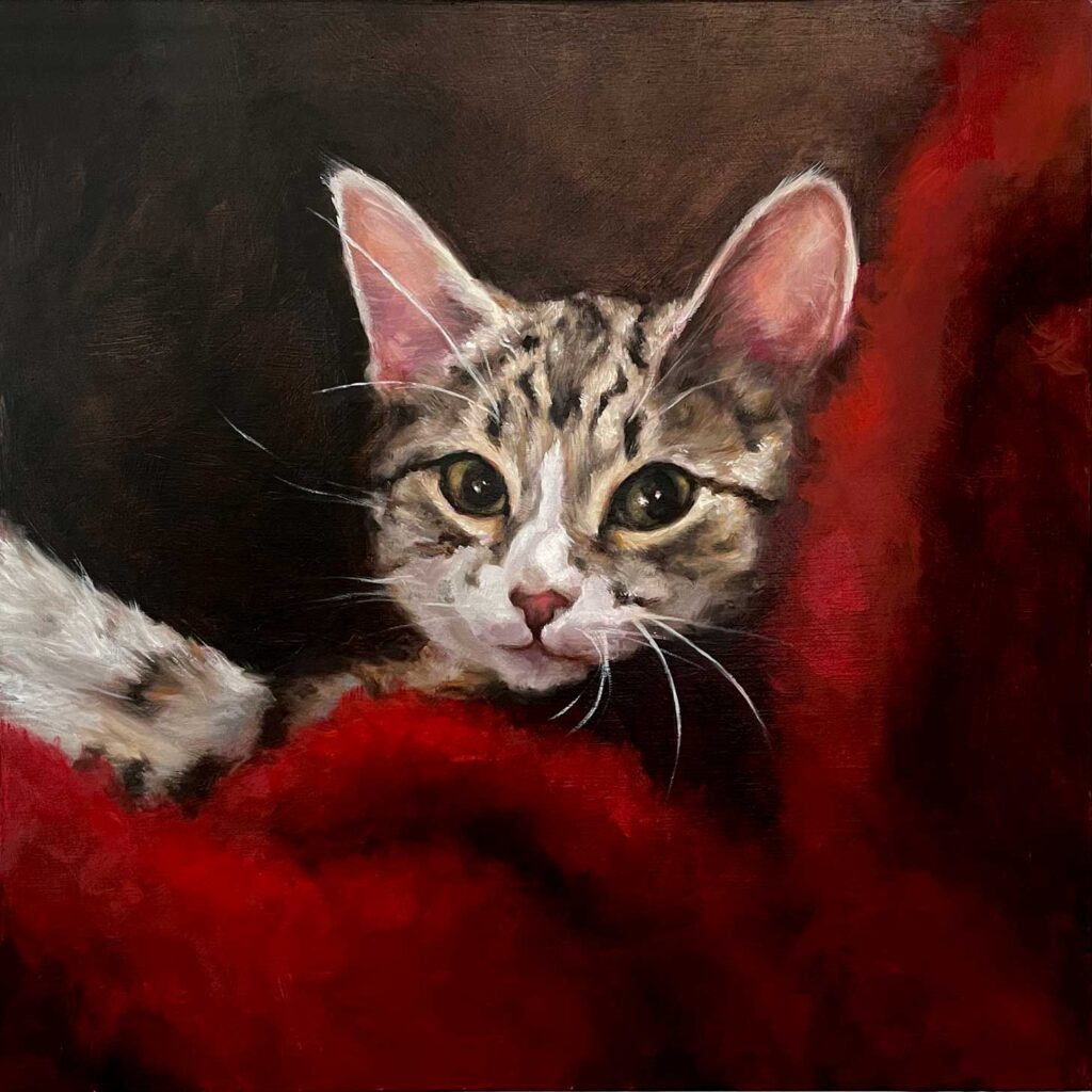 portrait of a sweet kitten in a red blanket