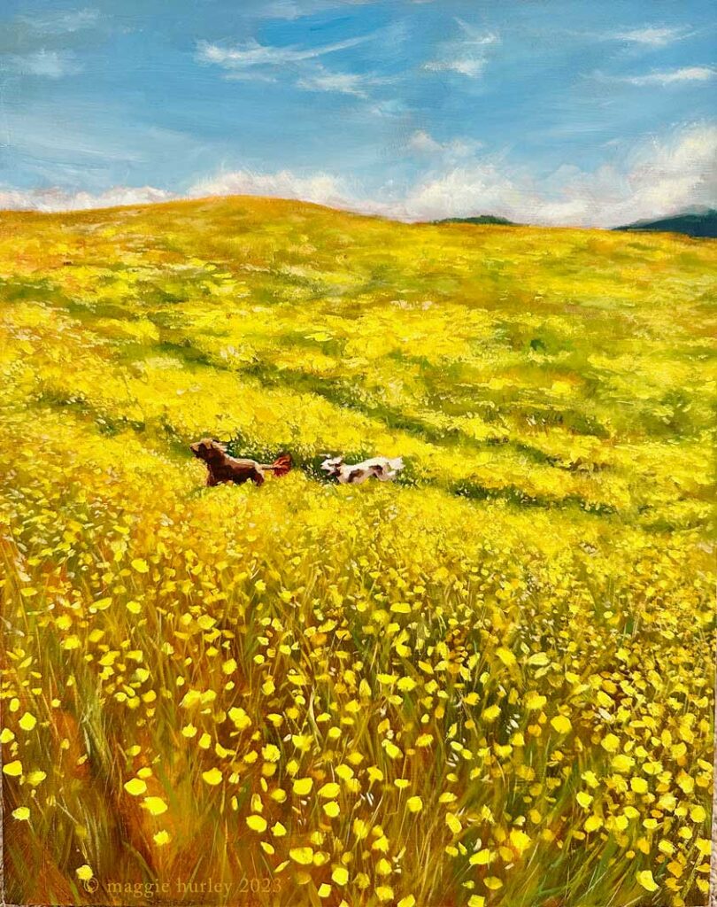 Two dogs running through hills covered in flowers