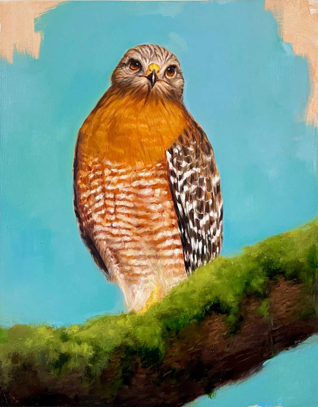red shouldered hawk painting