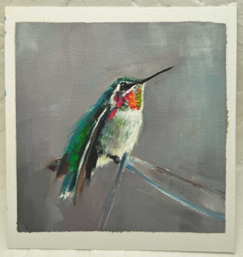 Painting of an anna's hummingbird on paper