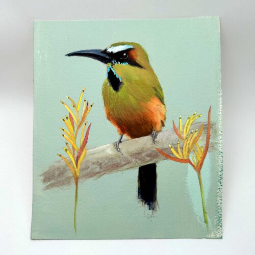 motmot gouache painting
