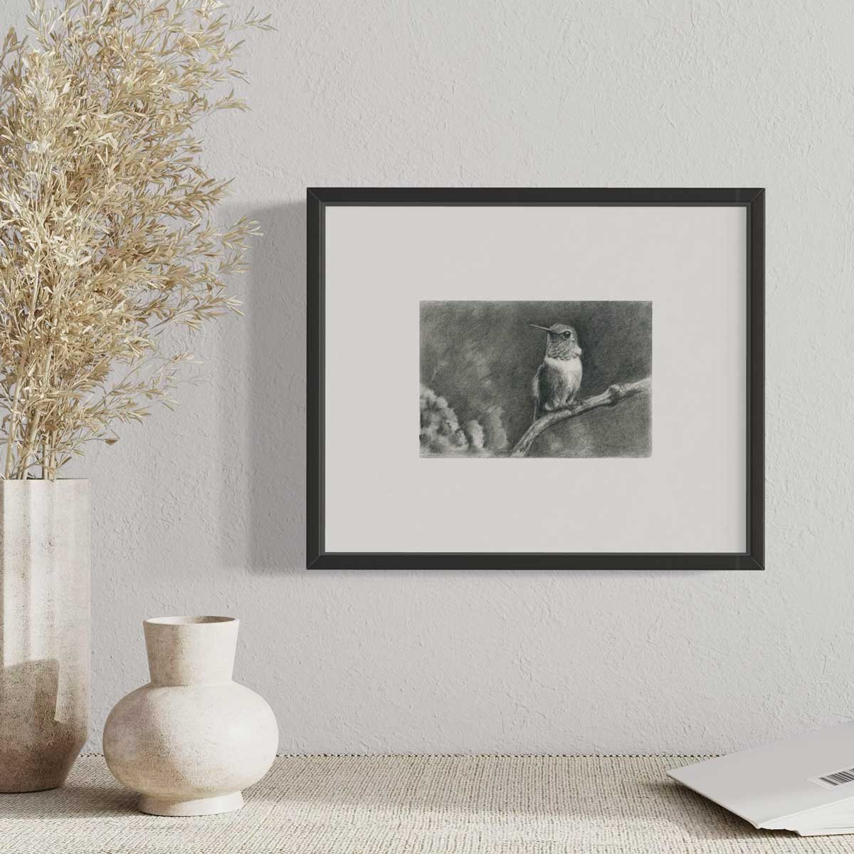 Framed drawing of an allen's hummingbird by maggie hurley