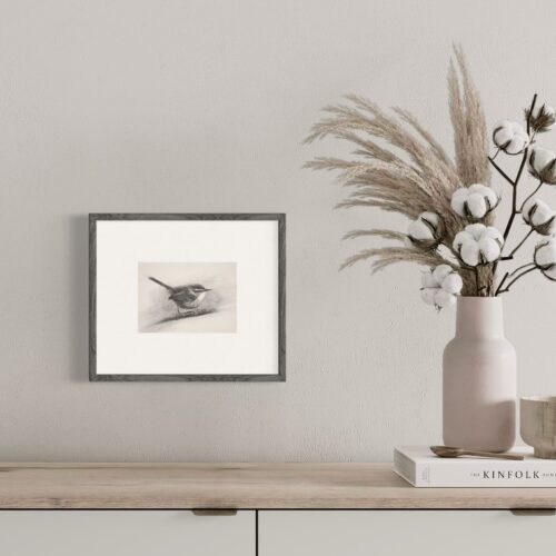 Framed drawing of Bewick's wren