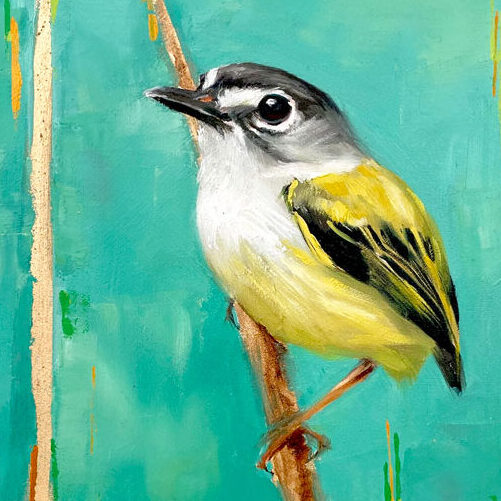 black-capped pygmy tyrant painting