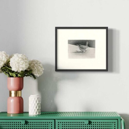 framed house wren drawing