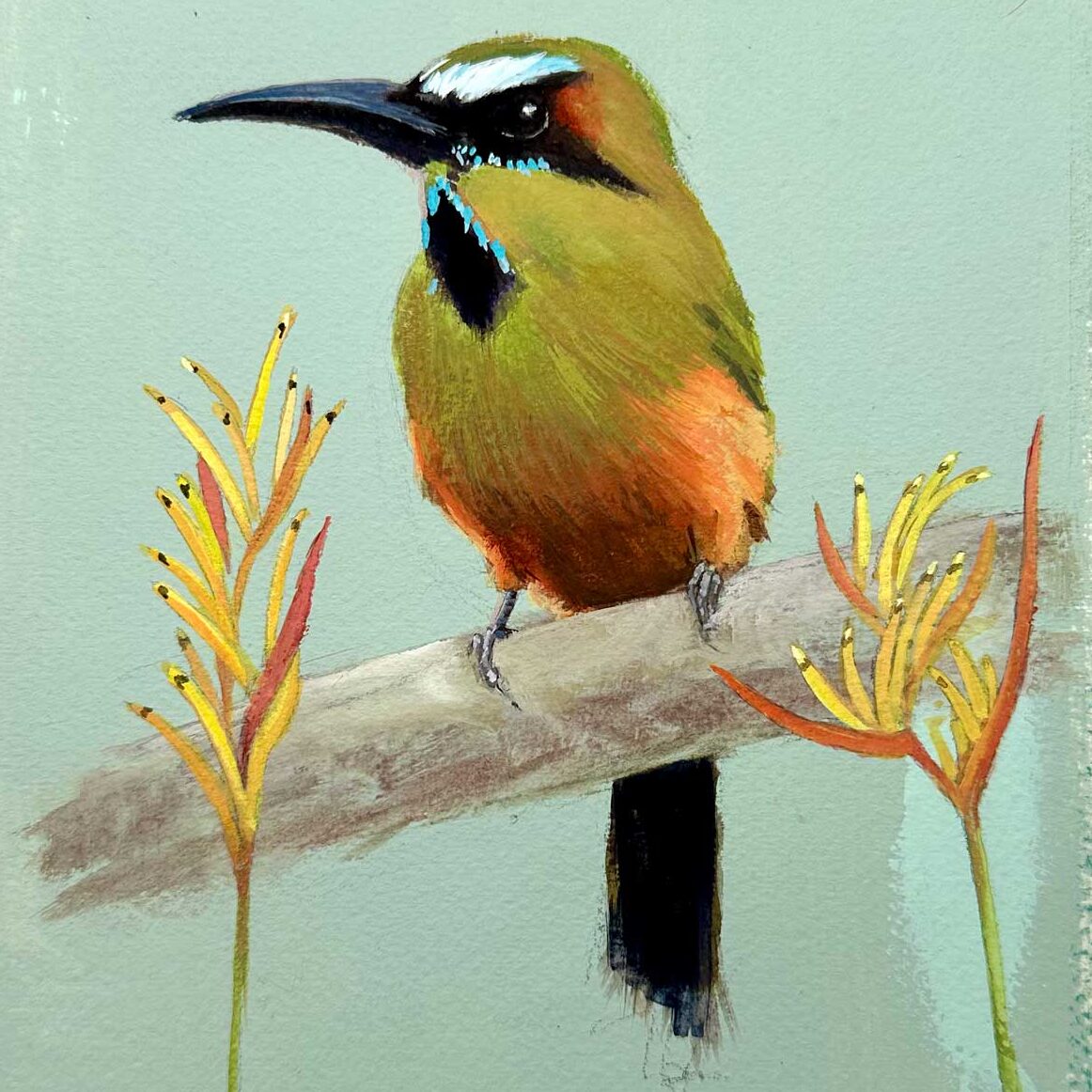 motmot gouache painting