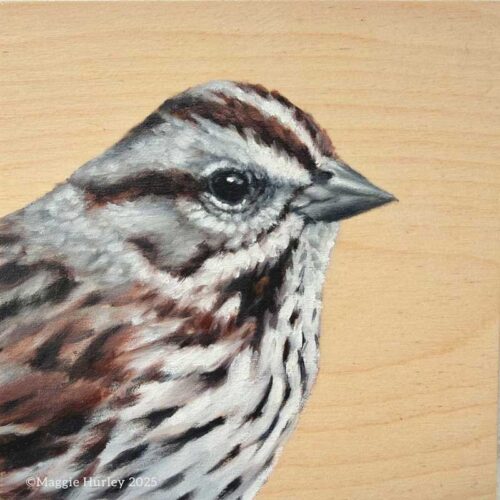 Oil painting of a portrait of a song sparrow on a wood panel.