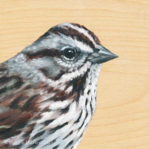 Portrait painting of a song sparrow in profile, looking to the right.